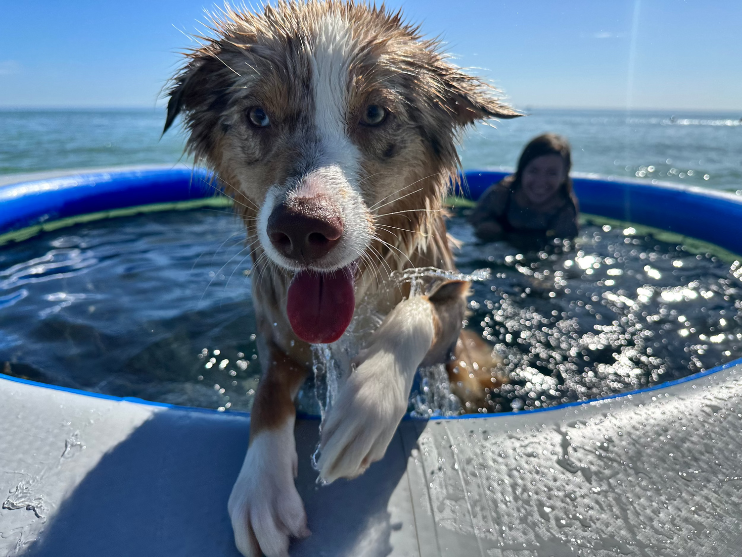 Lily Pad Water Hammock!